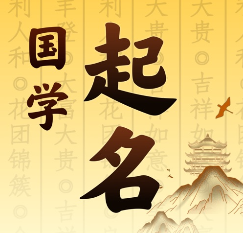 卫滨国学起名 人工起名一对一
